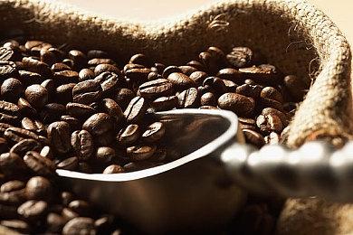 故事类模拟游戏《Forgery Craft》Steam页面上线 支持简中